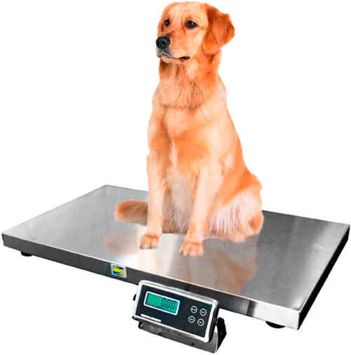 Imagen de BASCULA PARA VETERINARIAS PET-200